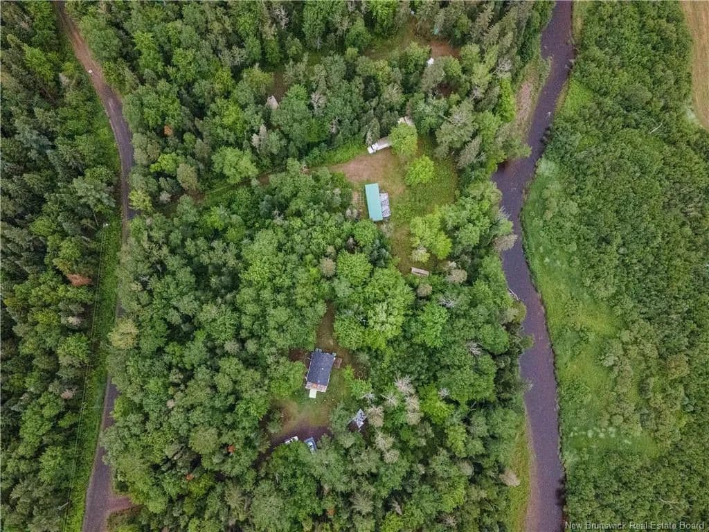 Land for Sale in Summerfield, NB - land for sale