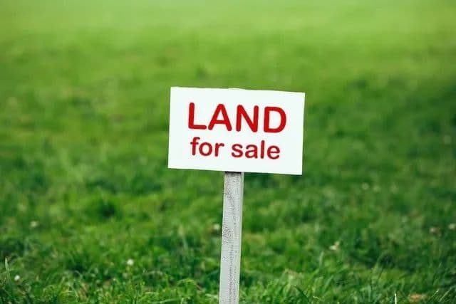 Property from 6845 S Ridgeland Avenue - KW - Chicago, Illinois, 60649
