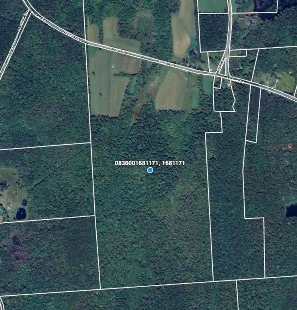 201 ± Acres Surrounded by State Forest and Private Club - Oxford, New York, 13830