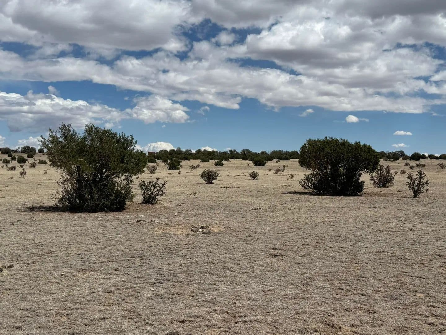 42 County Rd 122, Walsenburg, CO 81089 - Walsenburg, Colorado, 81089
