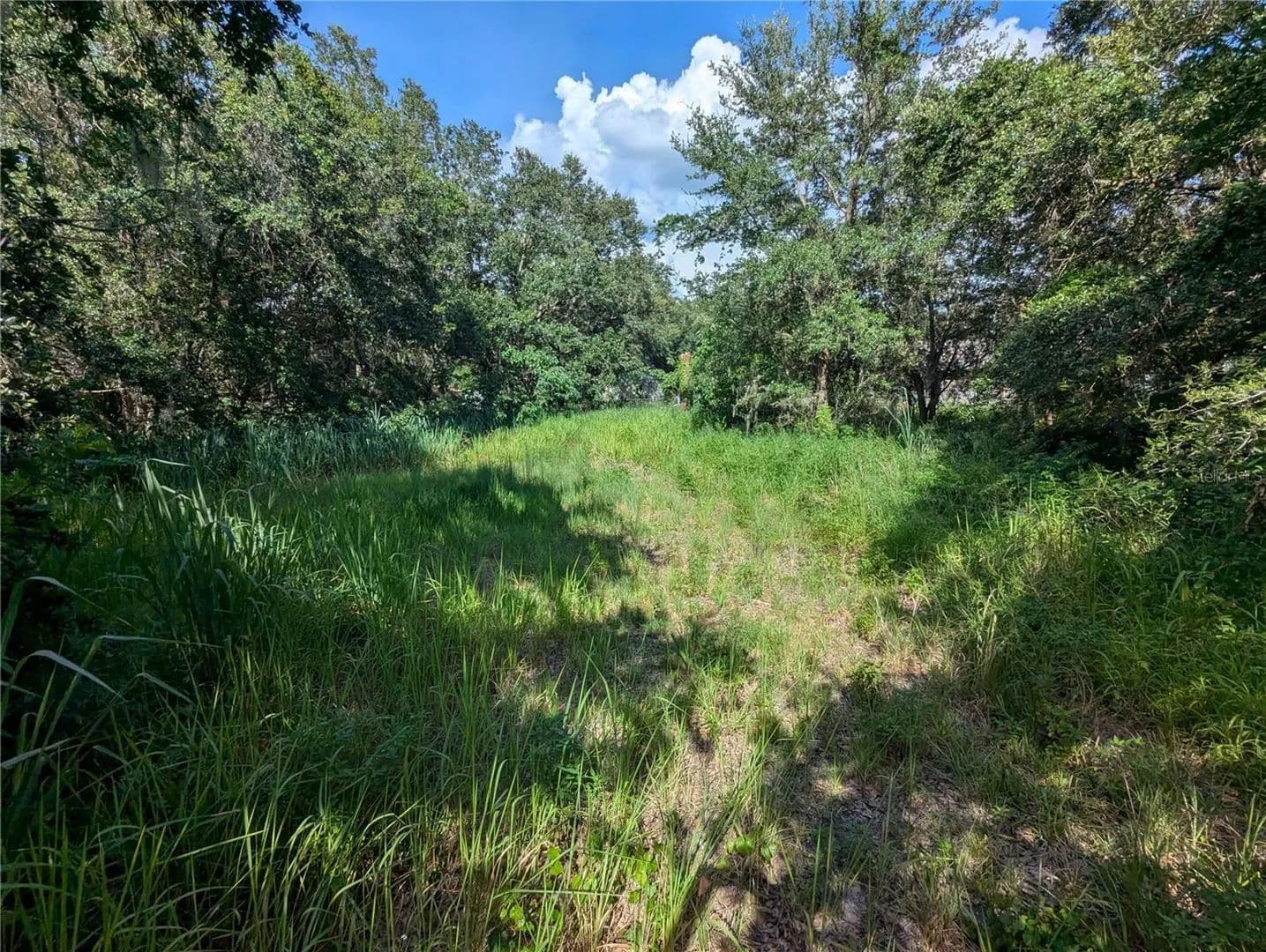 Property from 6631 MERLE STREET - KW - Mulberry, Florida, 33860