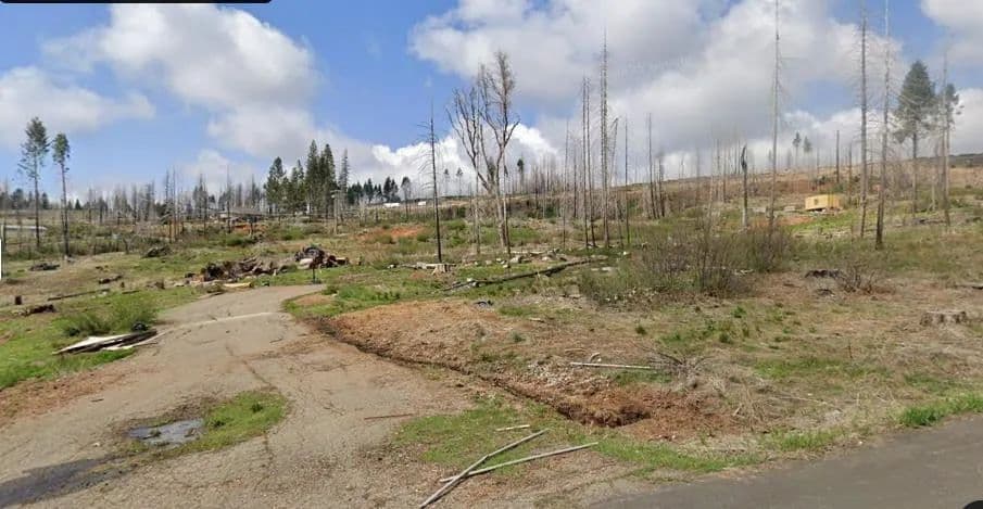 0.39 Acres of Land for Sale in Grizzly Flats, CA - California, 95636