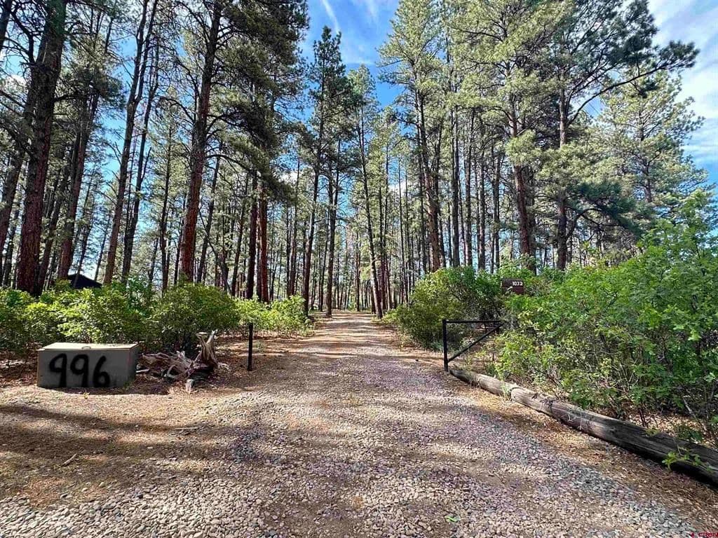 Property from 996 & 1032 Raccoon Drive - KW - Pagosa Springs, Colorado, 81147