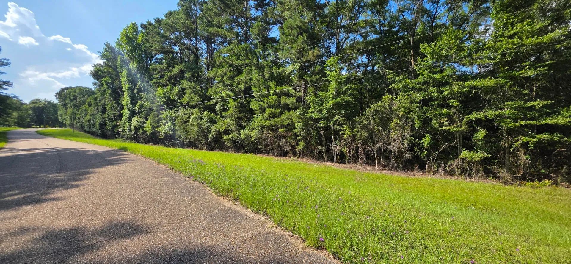 Property from 0 Turkey Fork Rd. - KW - Richton, Mississippi, 39476