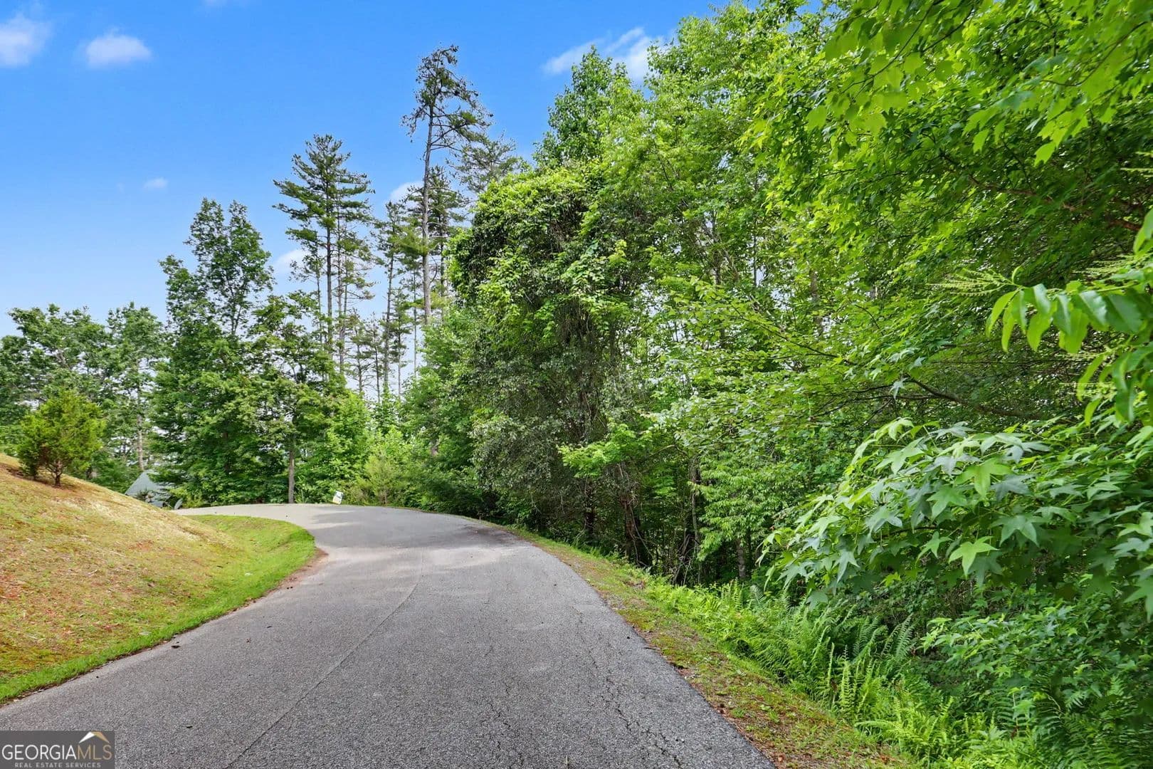 1.65 Acres of Land for Sale in Mineral Bluff, Georgia - Mineral Bluff, Georgia, 30559