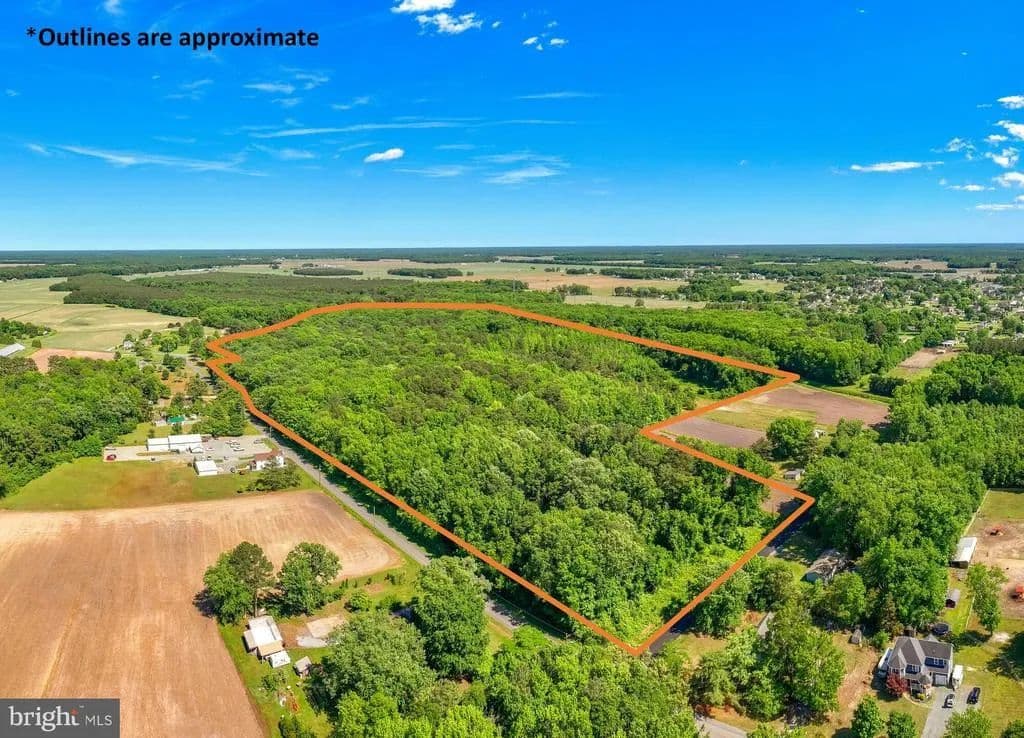 44.58 Acres of Land for Sale in PITTSVILLE, MD - Pittsville, Maryland, 21850