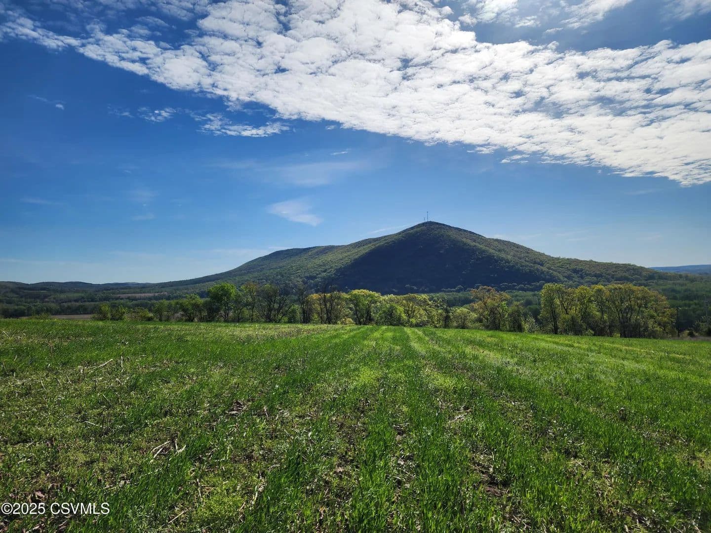8.08 Acres of Land for Sale in Port Trevorton, PA - Port Trevorton, Pennsylvania, 17864
