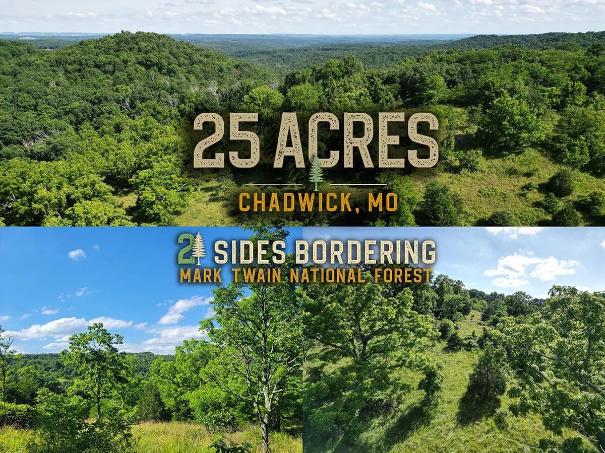 Property from 000 Highway Uu And Merritt Road - KW - Chadwick, Missouri, 65629