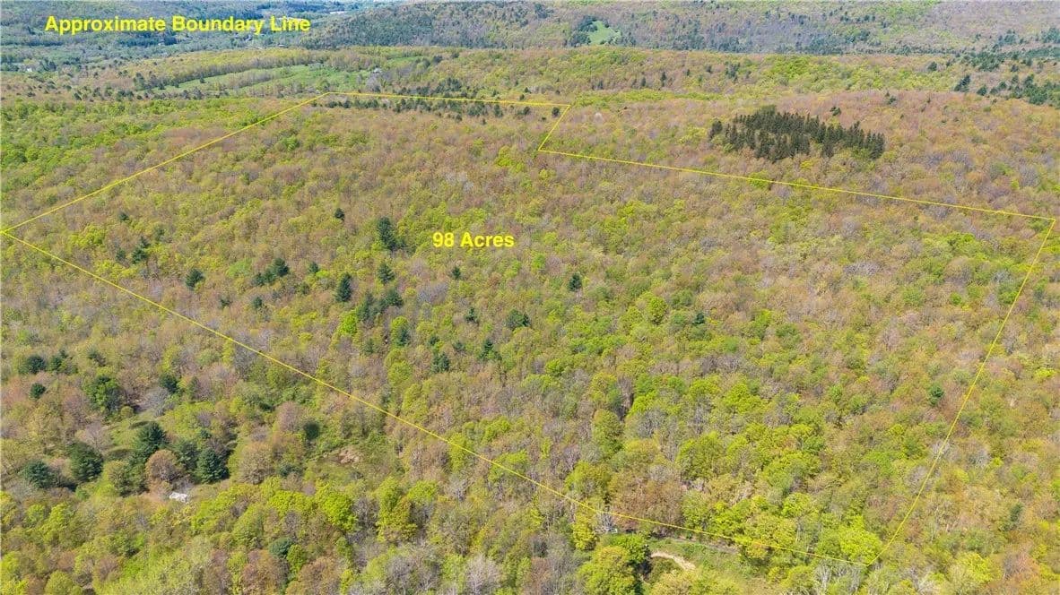 Property from Sanly Road - KW - Franklin, New York, 13839