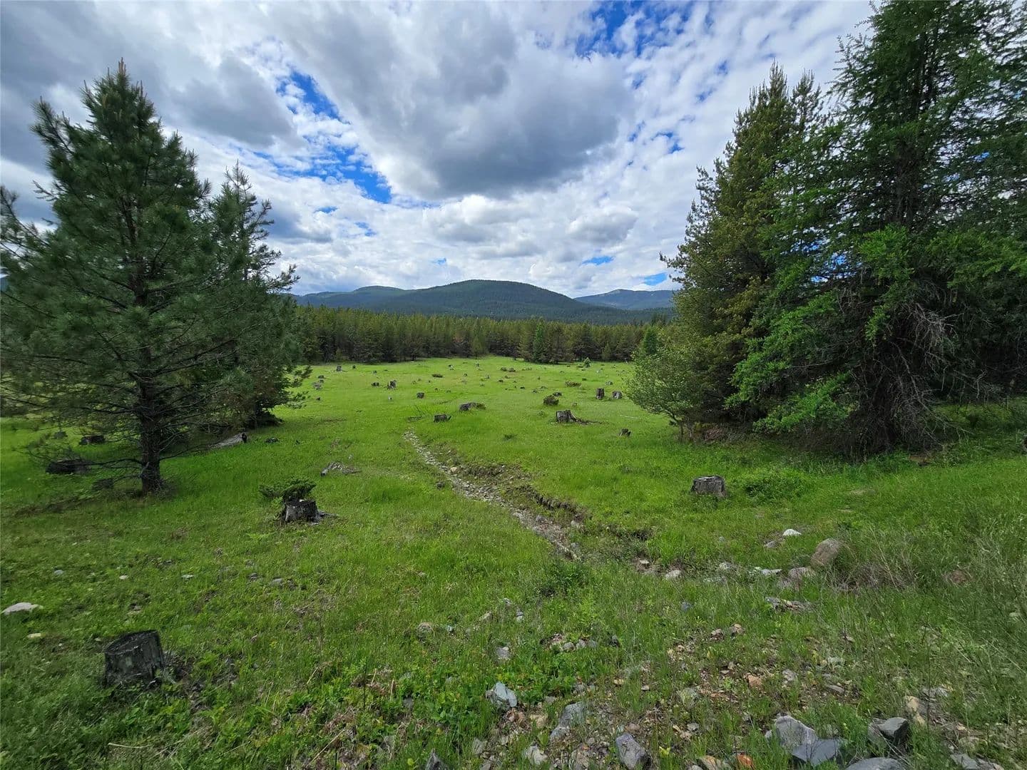 Property from TBD Yaak River Road - KW - Troy, Montana, 59935