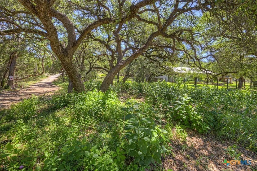 0.72 Acres of Land for Sale in Wimberley, TX - Wimberley, Texas, 78676