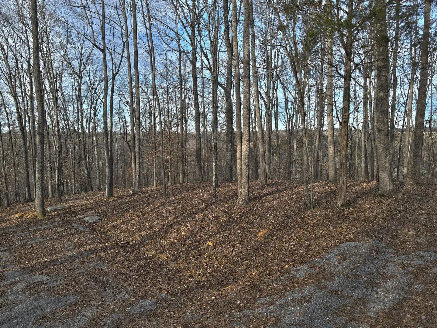 Property from 47 Carson Road - KW - Russell Springs, Kentucky, 42642
