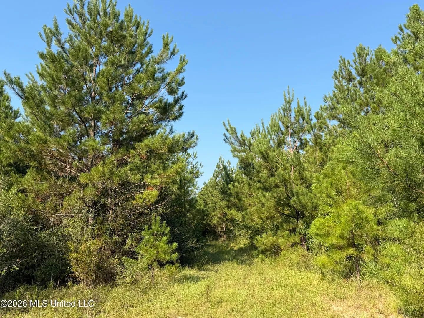 Lots & Land-Other in Lucedale - land for sale