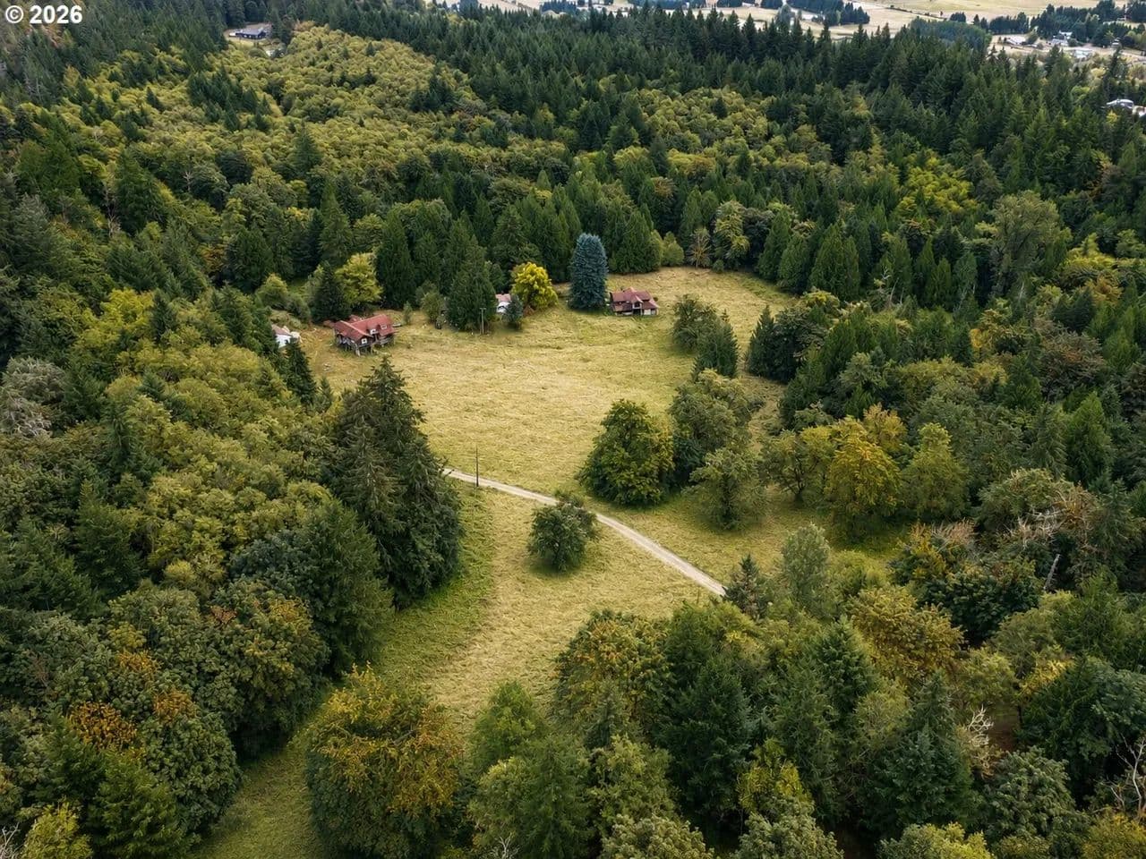 40-Acre Homestead in Amboy, Washington for Sale - land for sale