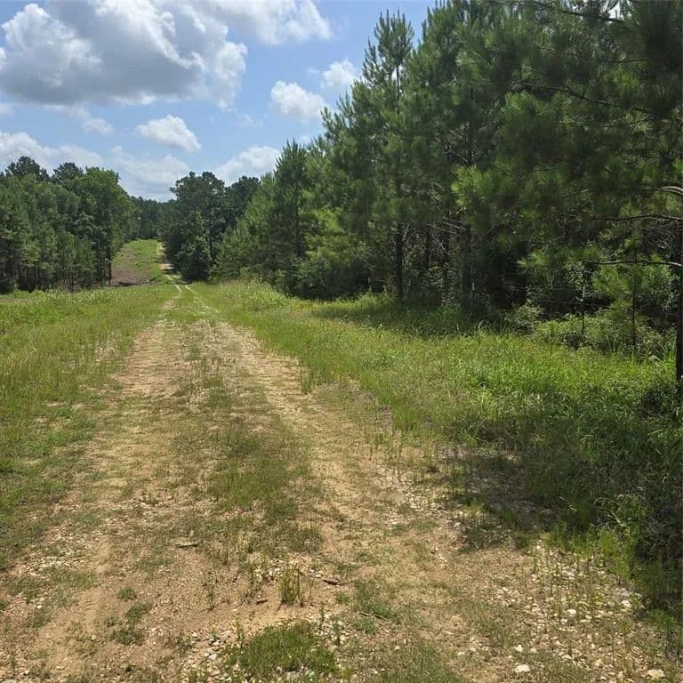 Vacant Land in Livingston - land for sale