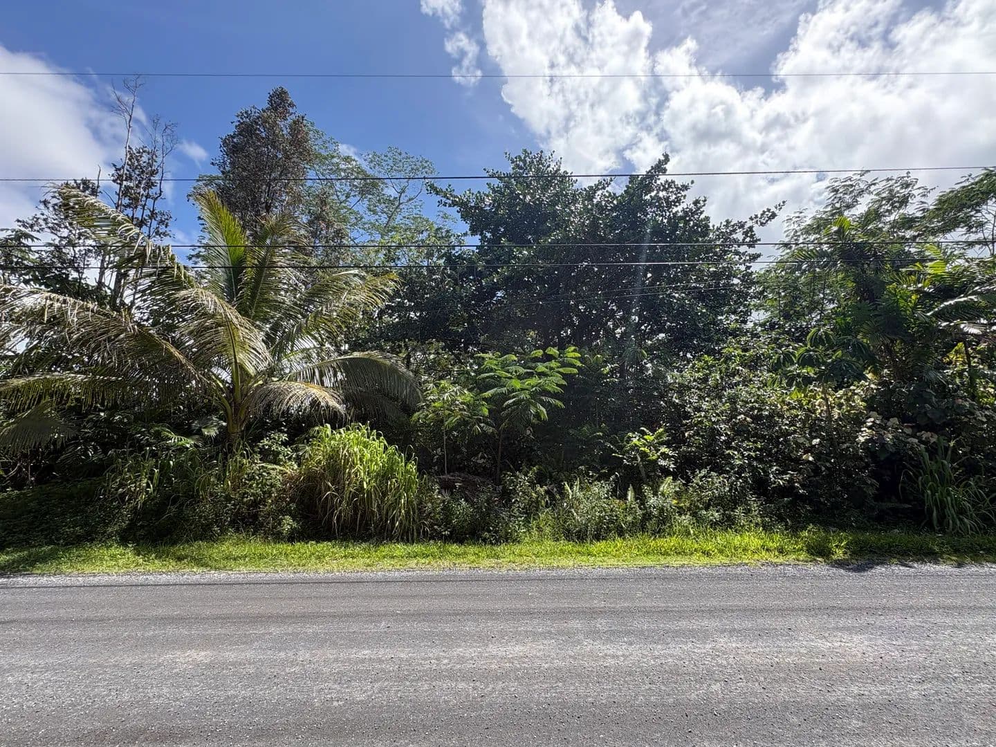 1 Acre of Land for Sale in Keaau, Hawaii - Keaau, Hawaii, 96749