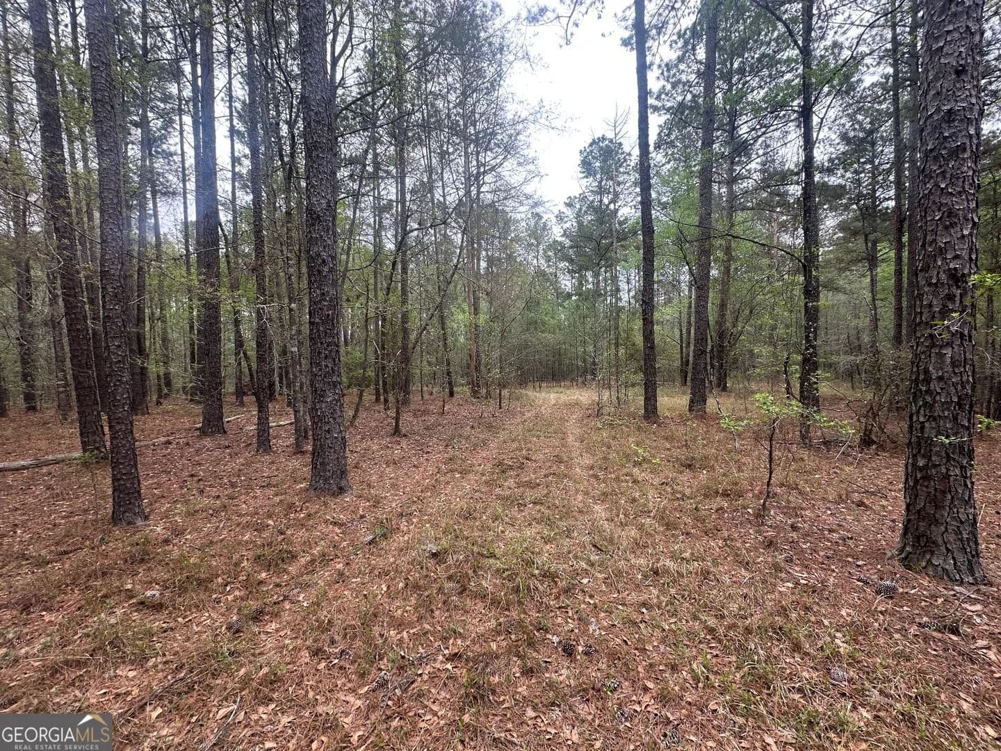 35.7 Acres of Land for Sale in Perkins, Georgia - Perkins, Georgia, 30442