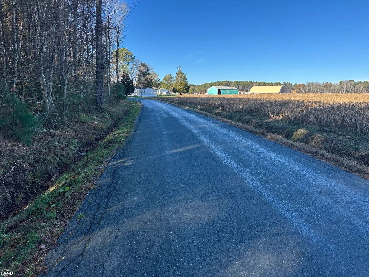 Elmore Road Timber - Painter, Virginia, 23420