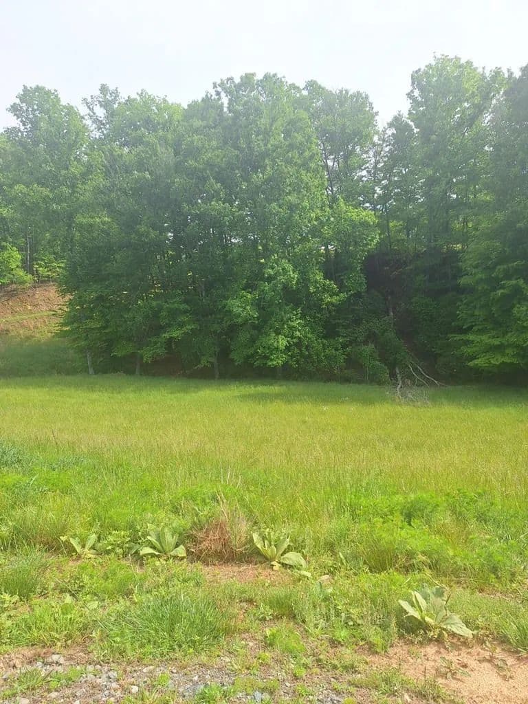 Lots & Land-Other in Morganton - Morganton, Georgia, 30560