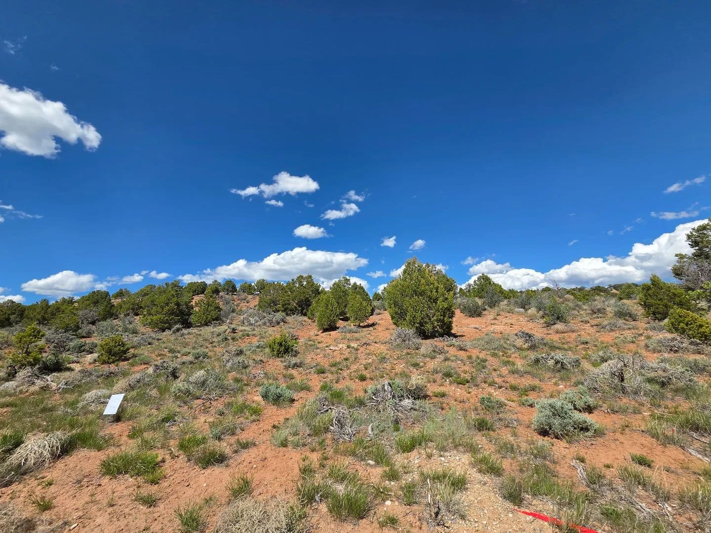 Property from #1 - KW - land for sale
