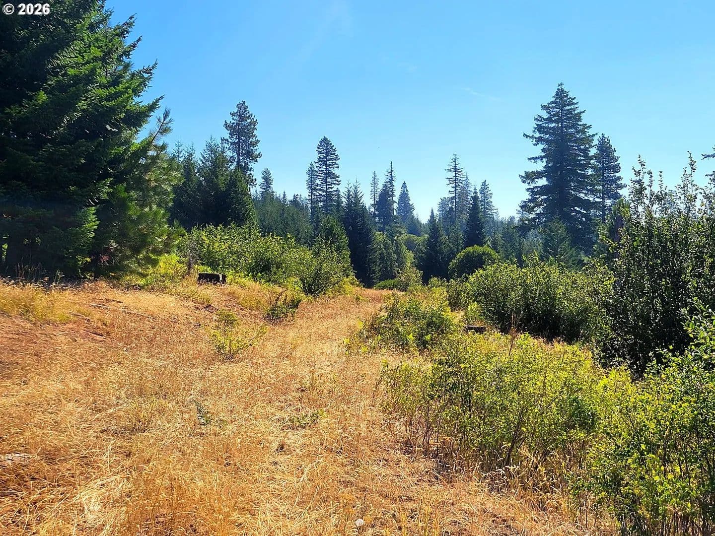 535.5 Acres of Land for Sale in Goldendale, WA - Goldendale, Washington, 98620