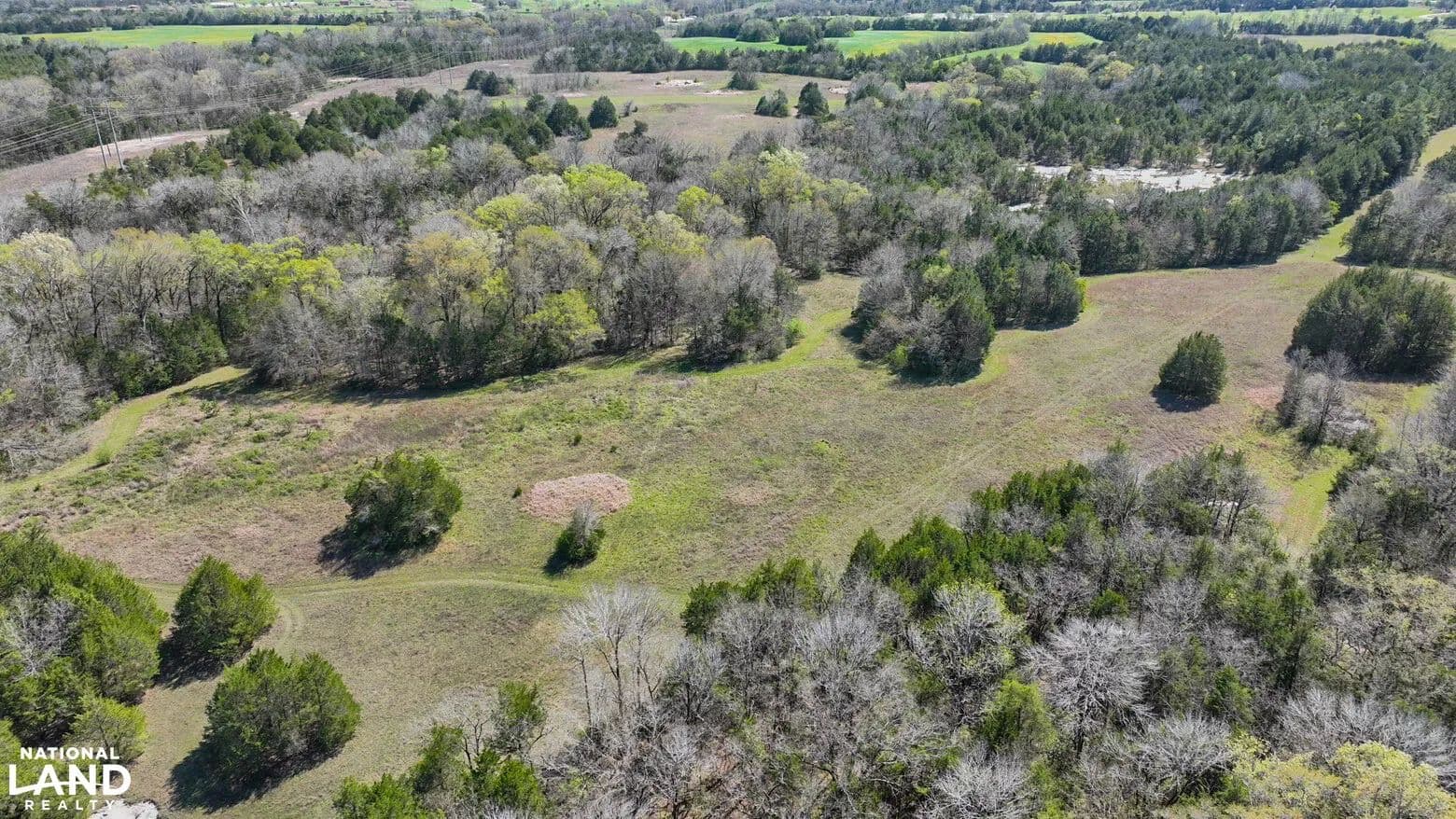 Gallion Homesite Pasture and Timber Tract 1 - Gallion, Alabama, 36742