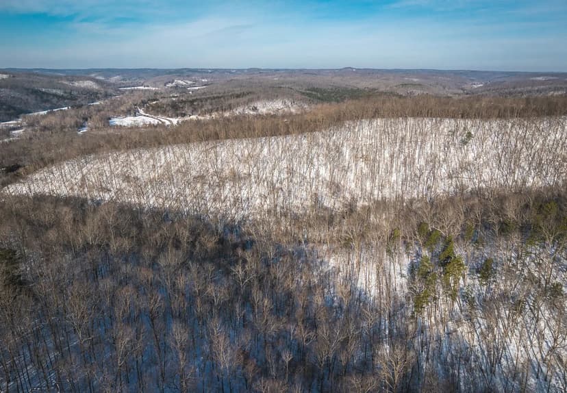 35 Acres Bucks in Black Mo