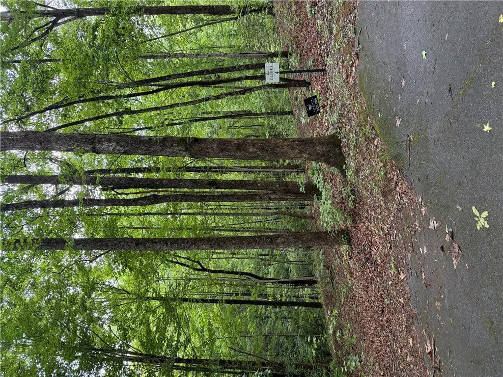 Property from 125 Cottage Side Trail - KW - Travelers Rest, South Carolina, 29690