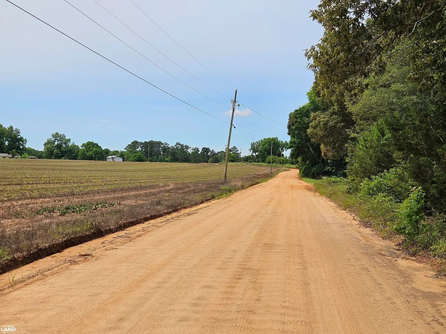 21.25 acre +/- Wooded Lots - Midland City, Alabama, 36350