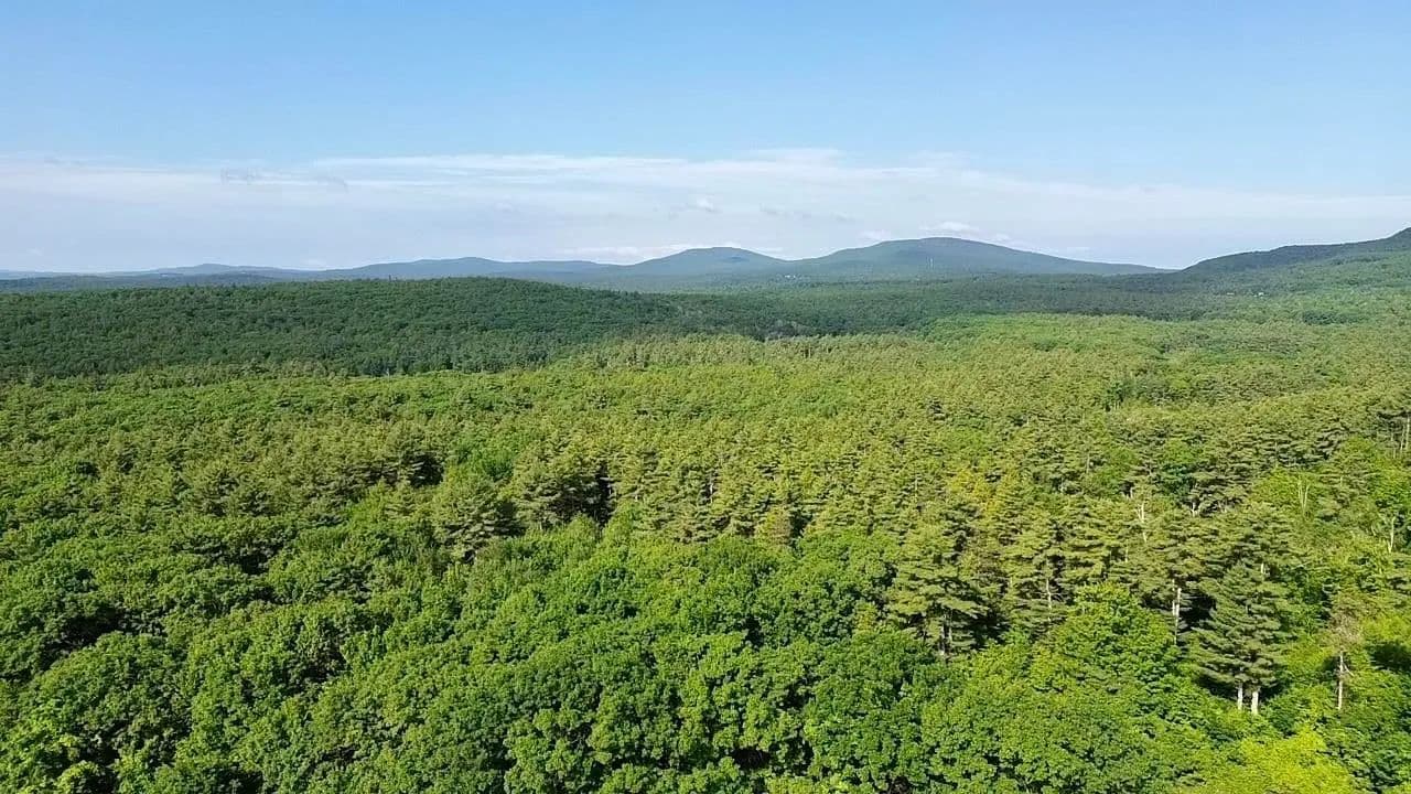 Property from 000 Center Road - KW - Lyndeborough, New Hampshire, 3082