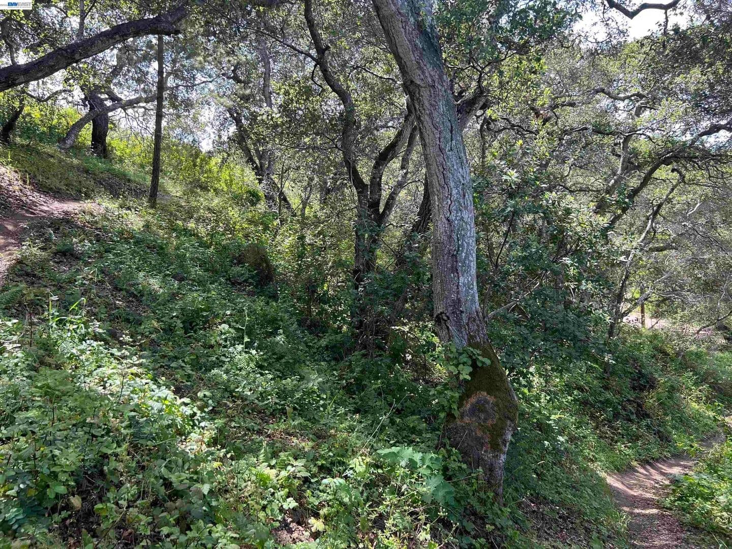 Property from 00 Marburger Ave. - KW - Belmont, California, 94002
