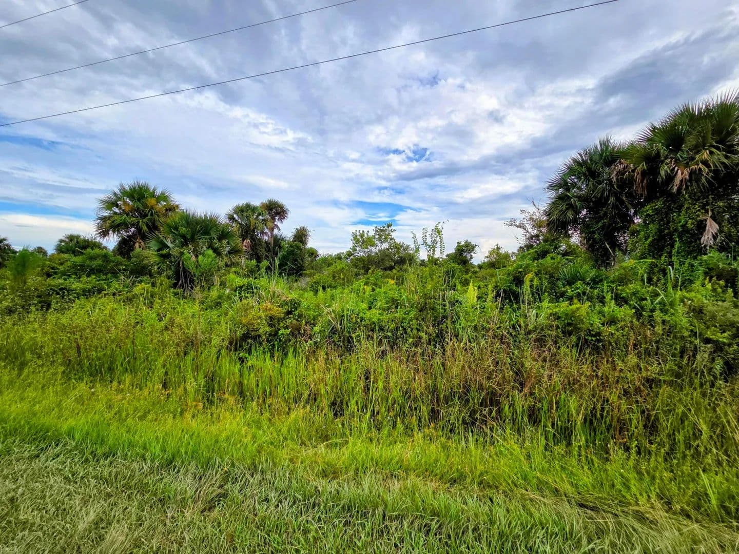 1.25 Acres of Land for Sale in Okeechobee, Florida - Okeechobee, Florida, 34972