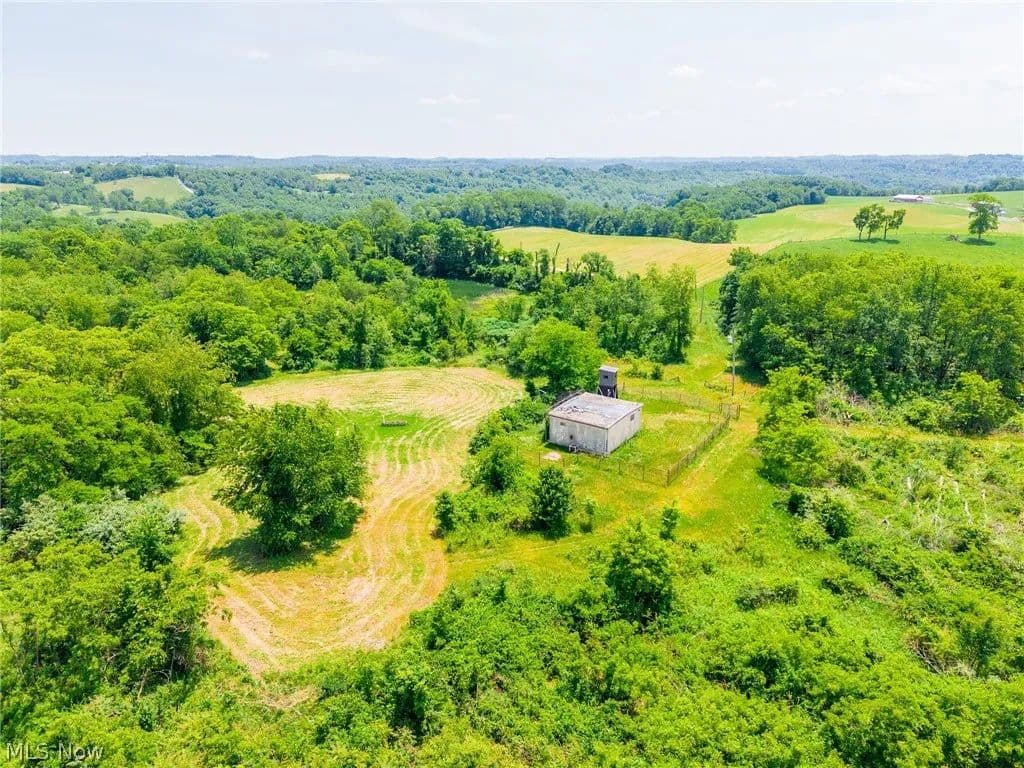 20 Acres of Land for Sale in Belmont County, Ohio - Ohio, 43950