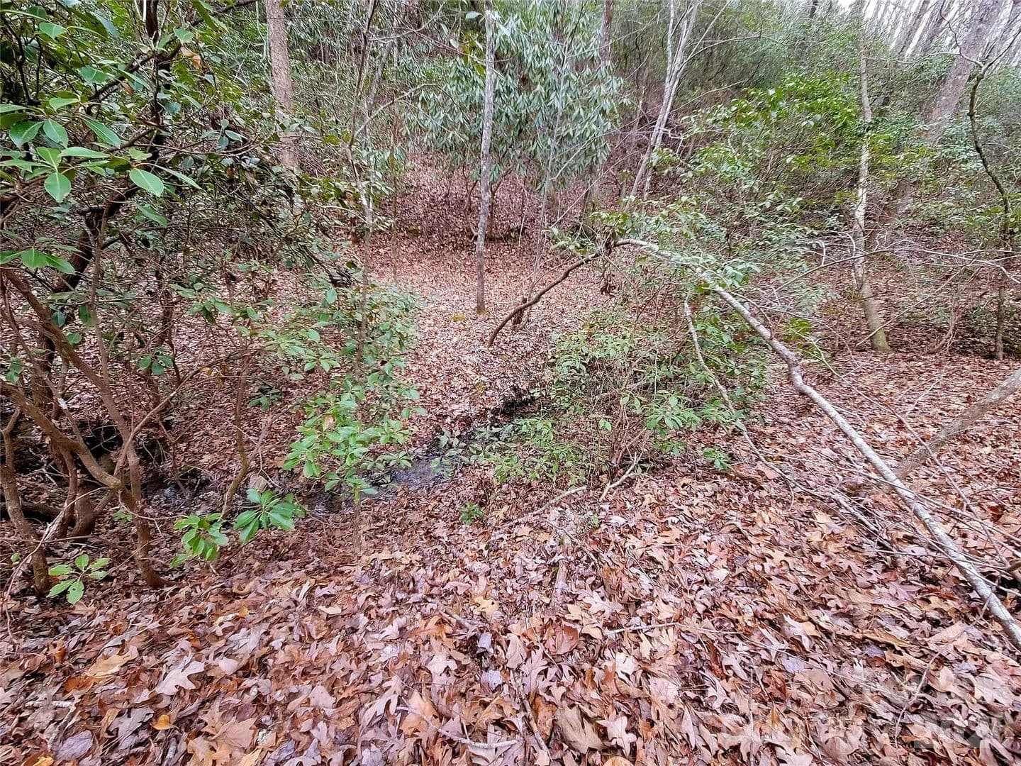 Lots & Land-Other in Lake Lure - Lake Lure, North Carolina, 28746
