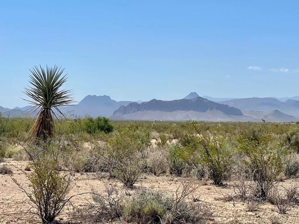Property from TR 4411 Roja Lane - KW - Terlingua, Texas, 79852