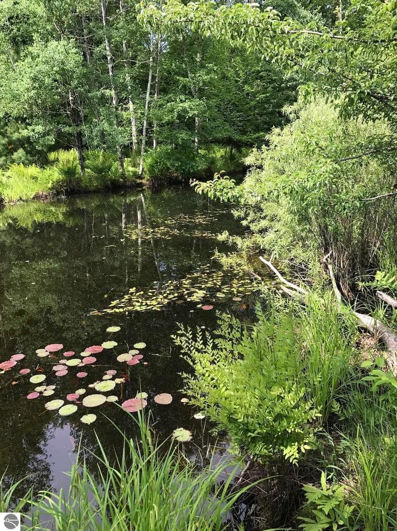 Property from 00 W Deborah Ann Trail - KW - Empire, Michigan, 49630