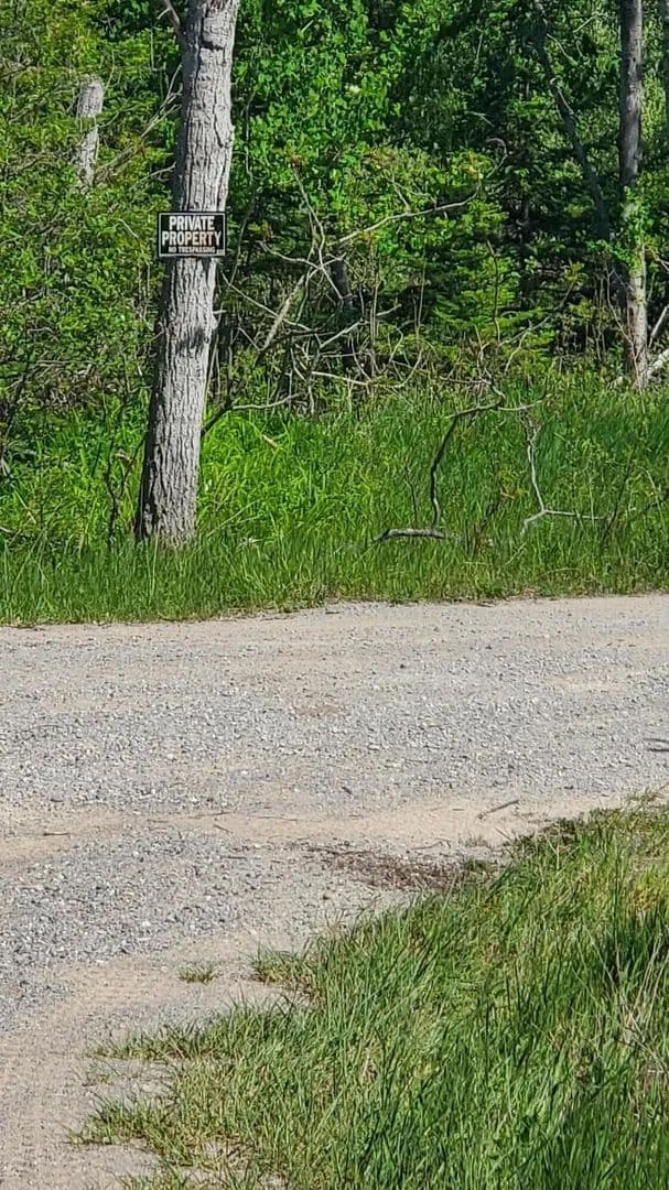 40 Acres of Land for Sale in Alpena, MI - Alpena, Michigan, 49707