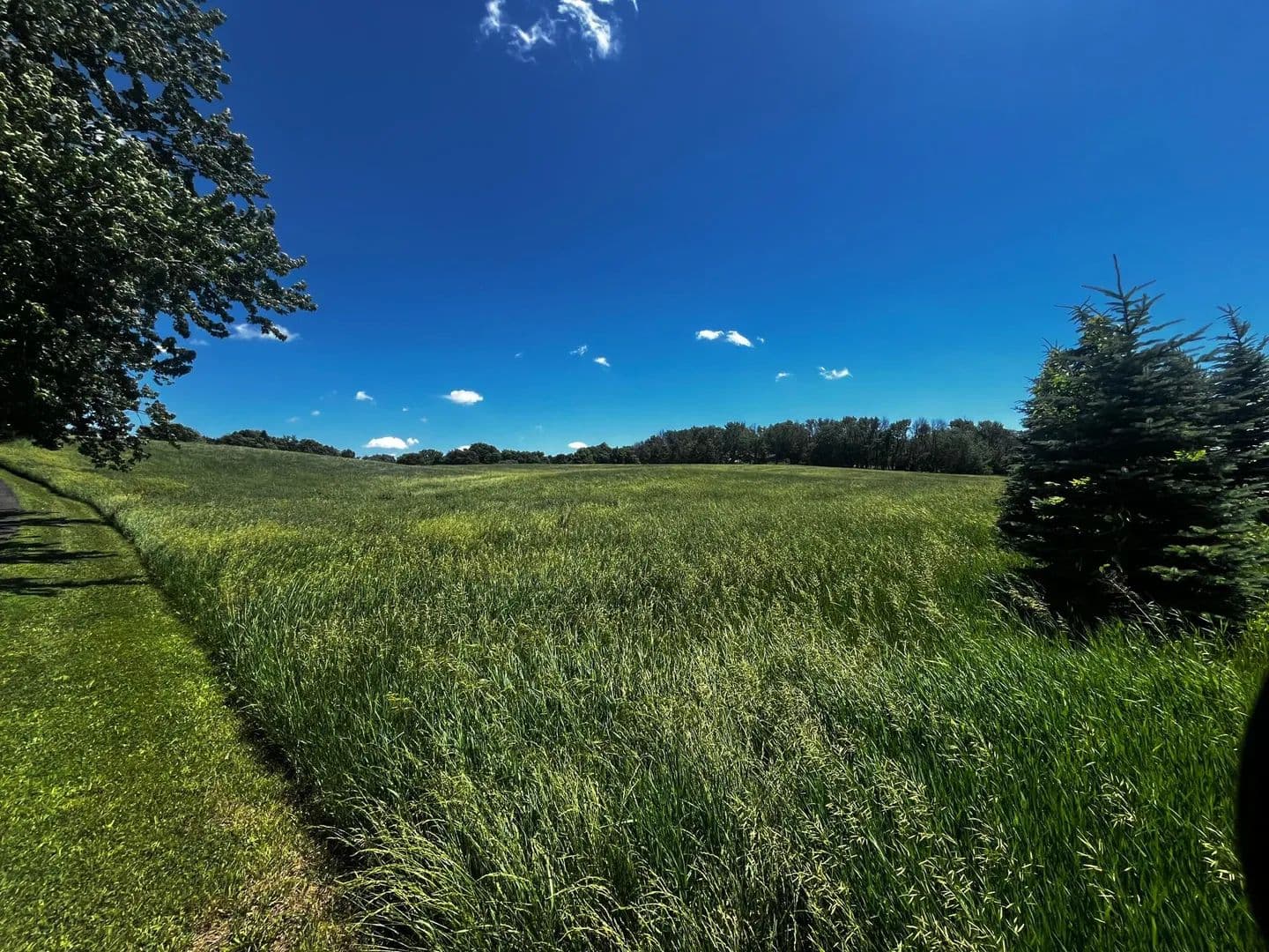 Property from TBD Co Rd 92 - KW - Maple Plain, Minnesota, 55359