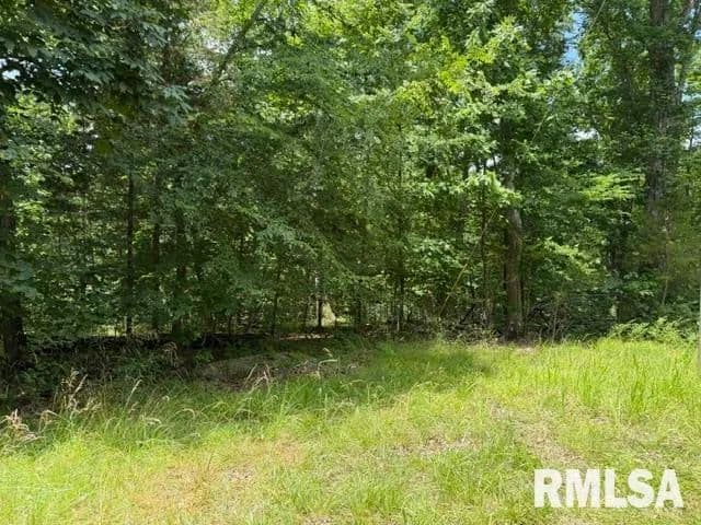 Property from 000 Wagon Creek Loop - KW - Creal Springs, Illinois, 62922