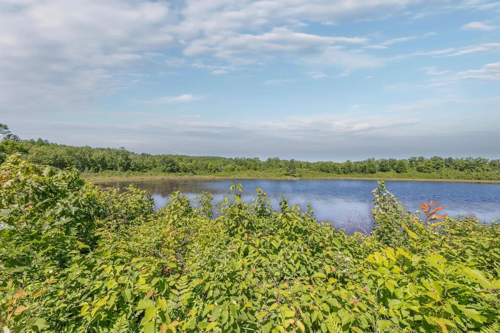 6.6 Acres of Land for Sale in Hackensack, MN - Hackensack, Minnesota, 56452