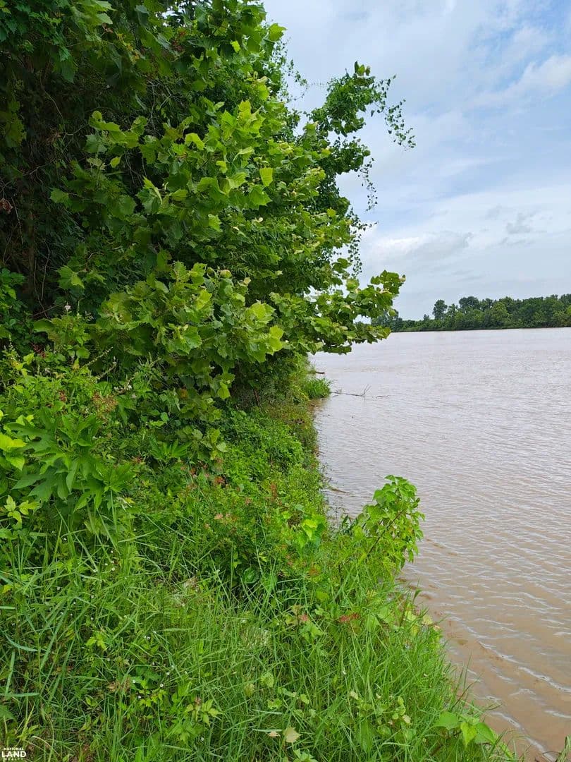 Red River Recreational Land - Marksville, Louisiana, 71351