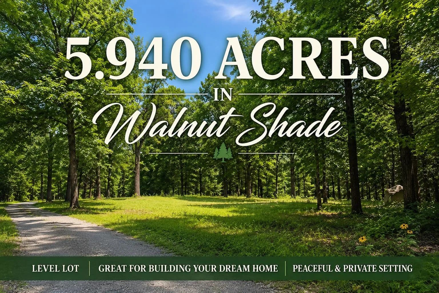 Property from 640 N Emory Creek Road - KW - Walnut Shade, Missouri, 65771
