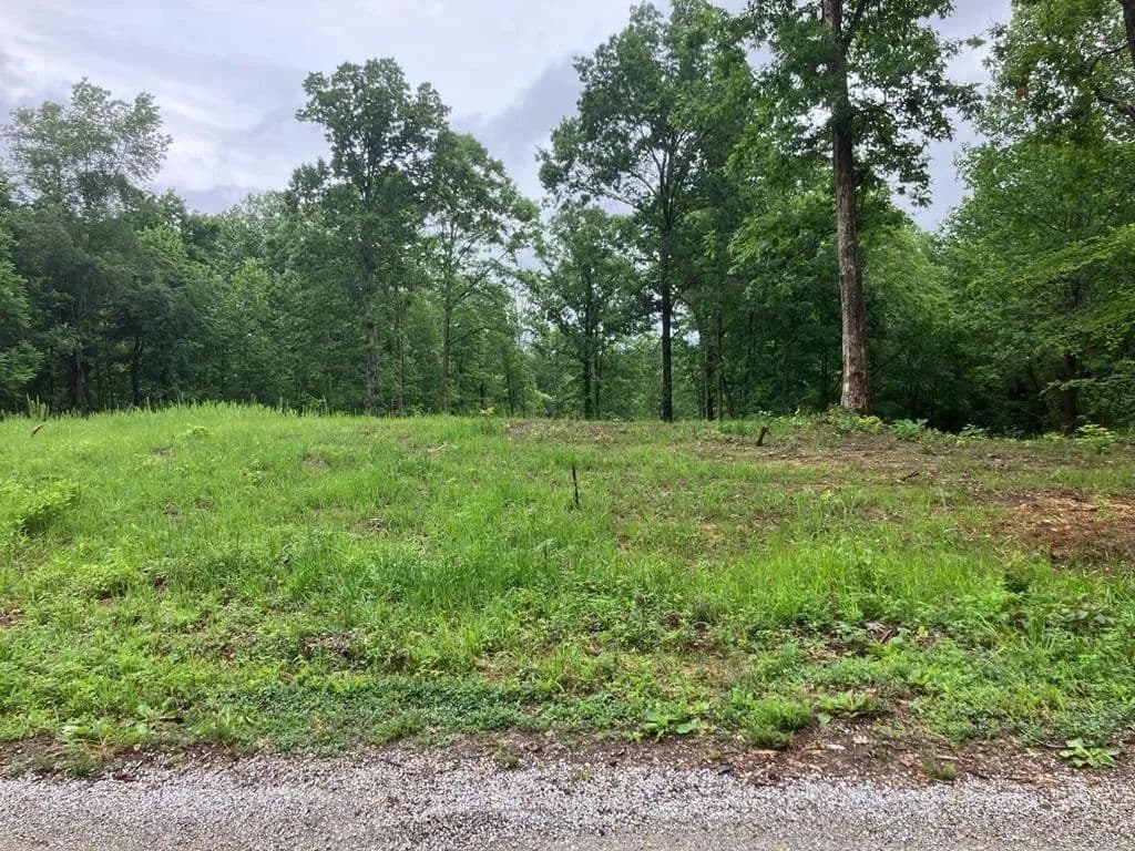 Property from 213 Wynn Ferry Rd - KW - Big Sandy, Tennessee, 38221