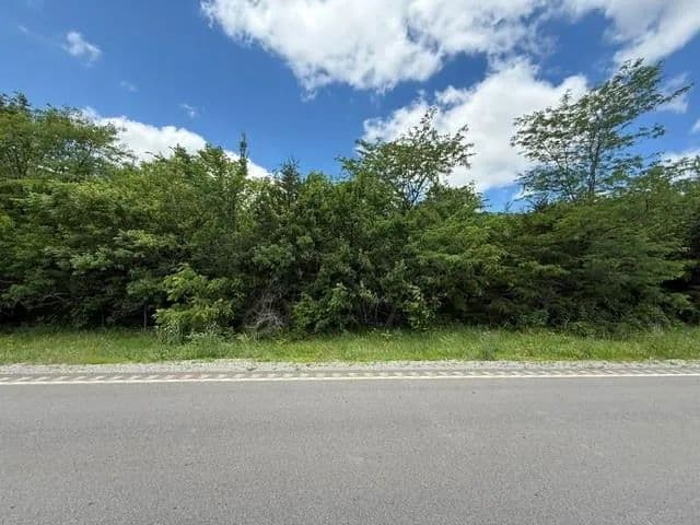 20 Acres of Land for Sale in Turney, MO - Turney, Missouri, 64493