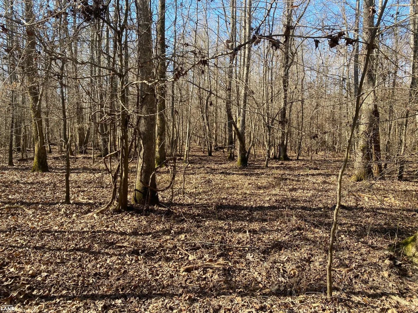 Hurricane Creek Tract - 422+/- Acres - Fordyce, Arkansas, 71742