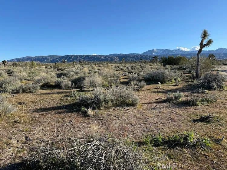 Property from 206 X9 206 S Vic AVE - KW - Llano, California, 93544