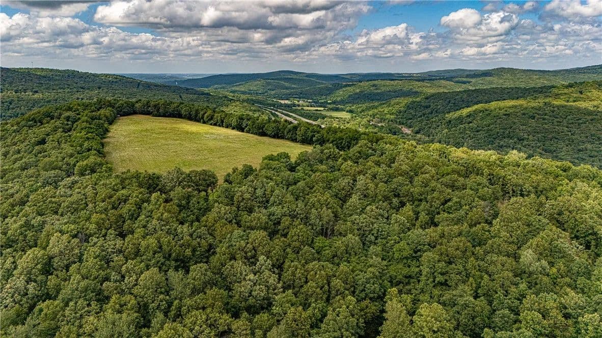 81.42 Acres of Land for Sale in Winslow, Arkansas - Winslow, Arkansas, 72959