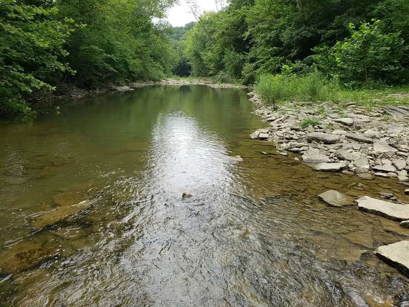 Land for sale - Dearborn County, Indiana - 26 acres recreation with nice creek and building site.