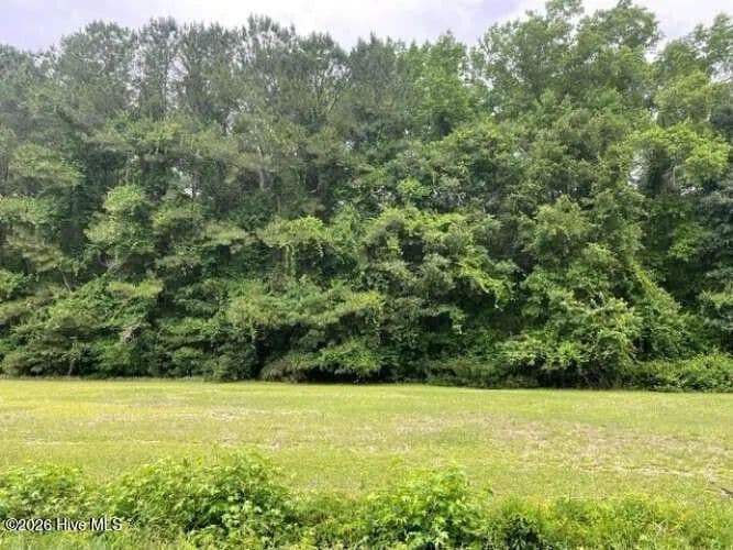 3.81 Acres of Land for Sale in Watha, North Carolina - Watha, North Carolina, 28478