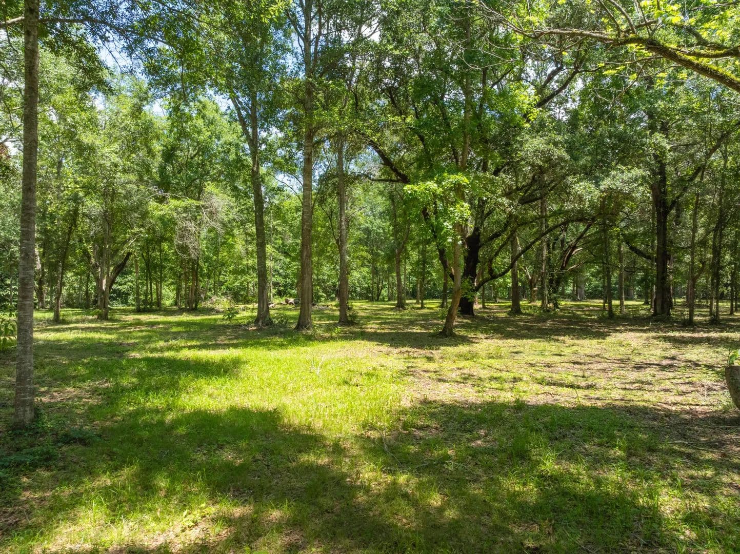 Property from 12.49 Acr F Z Goss - KW - Picayune, Mississippi, 39466